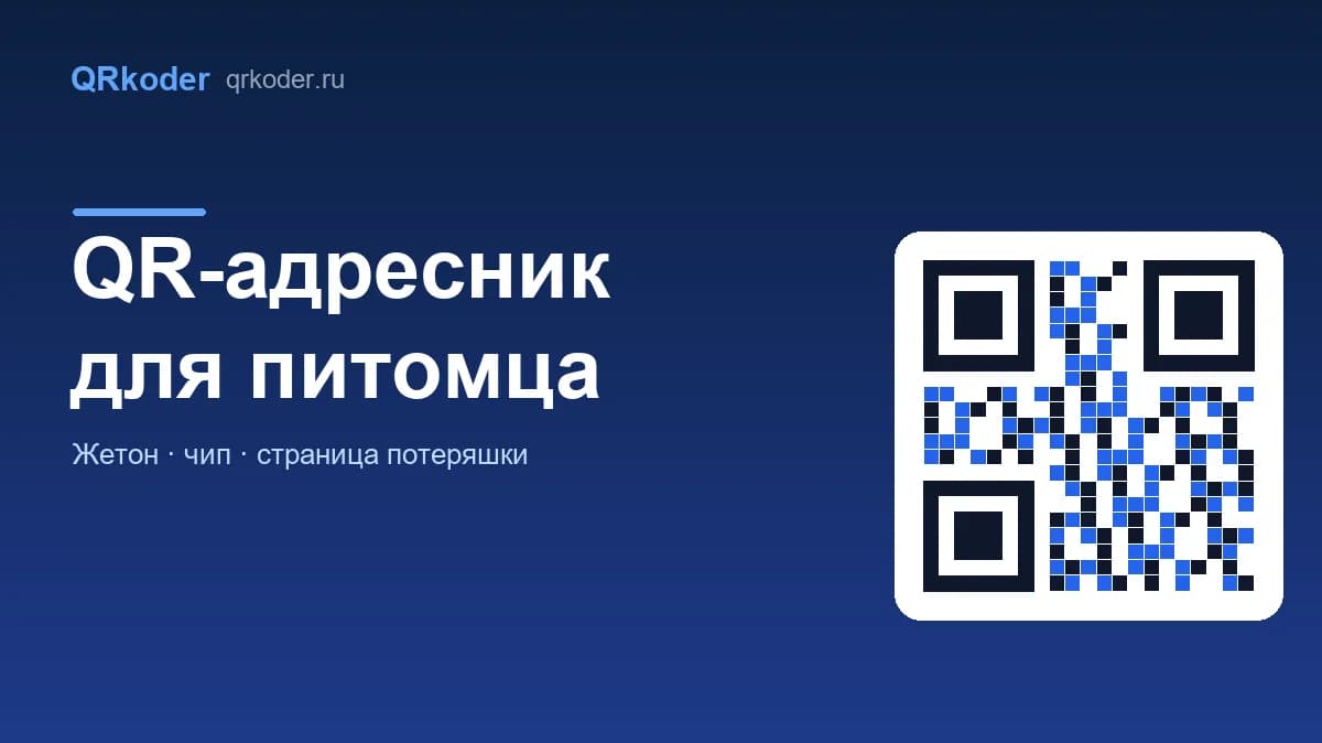 QR-адресник для питомца: жетон, который вернёт собаку домой